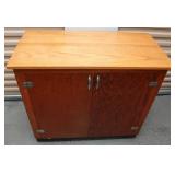 Storage Cabinet With Veneer Top