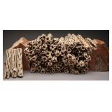 100 Pieces of 5ï¿½ï¿½ Cholla Cactus Wood Sticks