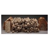 100 Pieces of 5ï¿½ï¿½ Cholla Cactus Wood Sticks