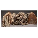 100 Pieces of 5ï¿½ï¿½ Cholla Cactus Wood Sticks