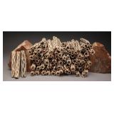 100 Pieces of 5ï¿½ï¿½ Cholla Cactus Wood Sticks
