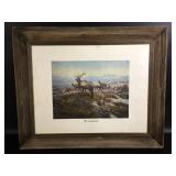 Framed Print of "The Exalted Ruler"