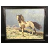 Framed Lithograph of a Pinto Horse