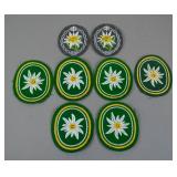 Heer Gebirgsjäger Edelweiss Insignia Group