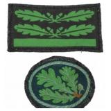 Third Reich Forestry Forstschutz Insignia Set