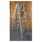 Aluminum Ladder