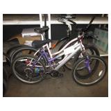 ASSORTED BIKES, MOUNTAIN BIKES, BEACH CRUISERS MAG