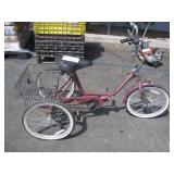 ADVENTURER TRICYCLE