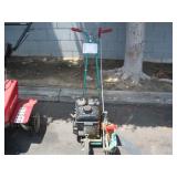 POWER TRIM EDGER