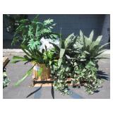 PALLET OF POTTED PLANTS