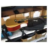 PIGNOSE ACOUSTIC GUITAR