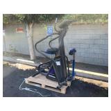 LOT WITH STAIRMASTER FREE CLIMBER & ROMAN CHAIR