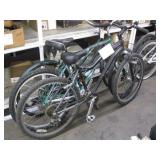 2 MOUNTAIN BIKES & 1 BEACH CRUISER