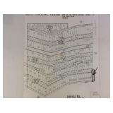 1 LOT LOCATED IN CEDARPINES PARK AT 22818 FERN CAN