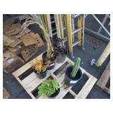 PALLET OF ASSORTED PLANTS