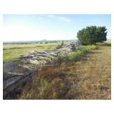 PILE CEDAR POST AND TELEPHONE