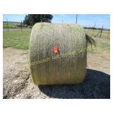 Hay, 20 Bales, Klien, Coastal, Pasture Mix