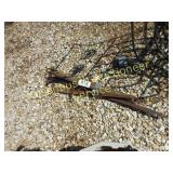 Cotton Scales, Single Tree, etc