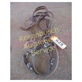 Headstall & Bit