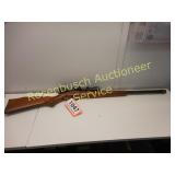 Revelation M-120  22 Rifle