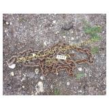 Heavy Duty Chain