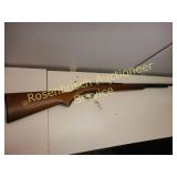 Marlin 22 Gauge Rifle