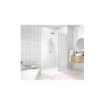 Glass Warehouse Single Panel Shower Door