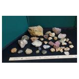 Fossils, Geode, & other rocks