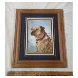 Framed Labrador print