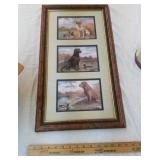 Framed Labrador prints
