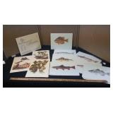 18 Audubon Bird  & 18 Freshwater Fish Prints