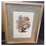 Framed Botanical print