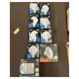 25 W bath and vanity bulbs, 250 W LED bulbs FEIT