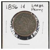 1856 Large Cent Coin