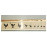 Decorative wall decor