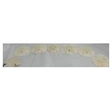 Seven sand dollars