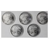 1/2 oz. t. .999 Fine Silver, 5x 1/10 Rounds
