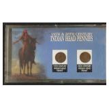 19th & 20th Century Indian Head Pennies
