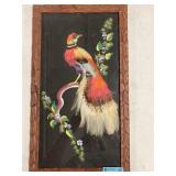 Framed Feather Art