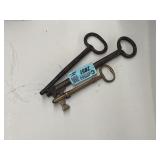 Skeleton keys