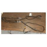 Black leather western headstall attached to a