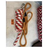 2 Lead Ropes