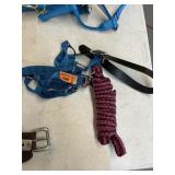 Halter & Lead Rope