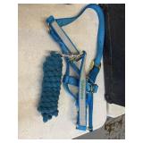 Halter & Lead Rope