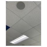 Rm 203 ceiling speakers
