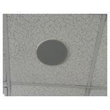 RM 105 ceiling speakers