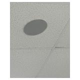 Rm 209 All Ceiling Speakers