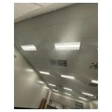 RM 207 ceiling tiles