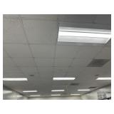 RM101 ceiling lights
