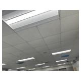 RM 206 ceiling tiles